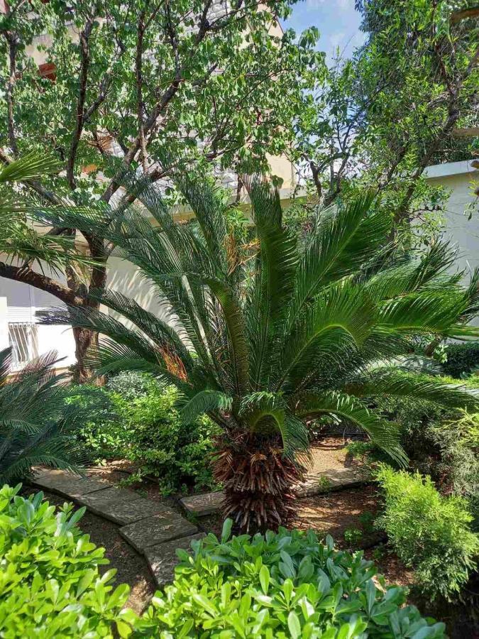 Apartment Ana, Free Garage Parking Sibenik Exterior photo